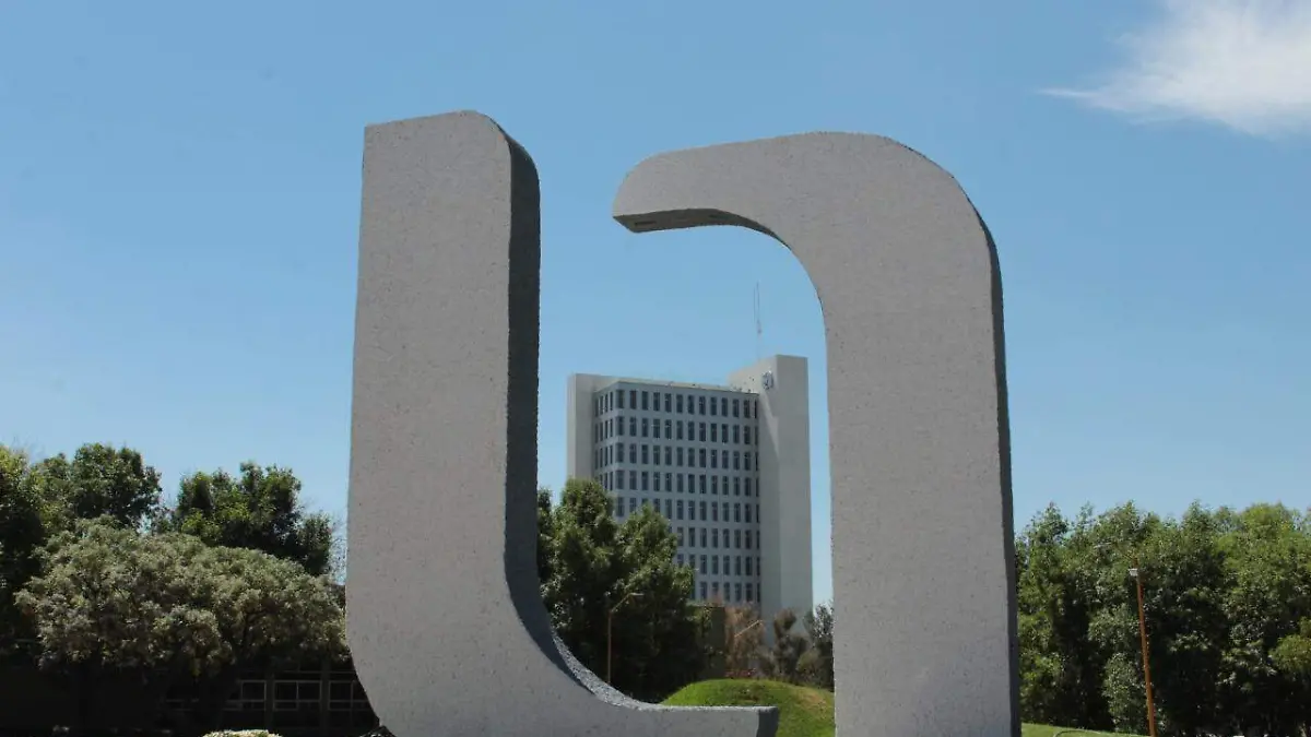 WhatsApp Image 2019-08-31 at 3.38.29 PM