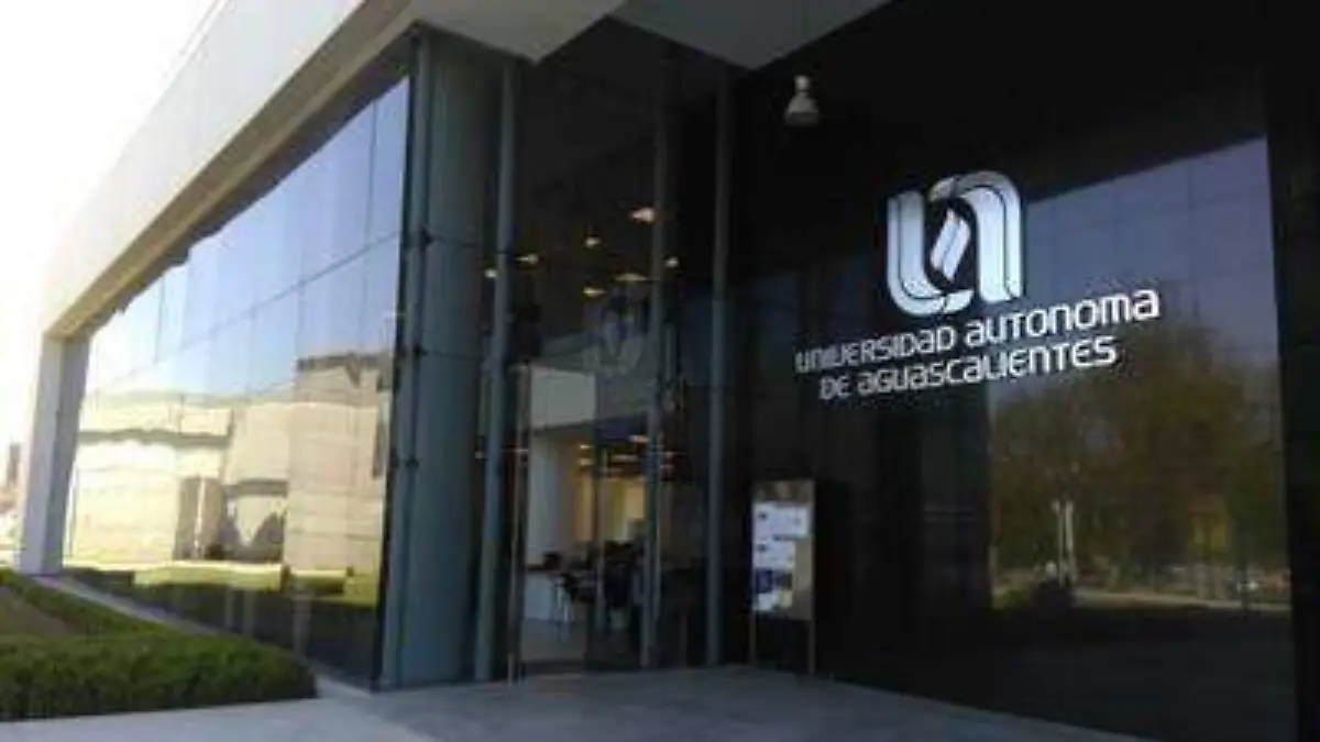 WhatsApp Image 2019-06-14 at 15.13.58