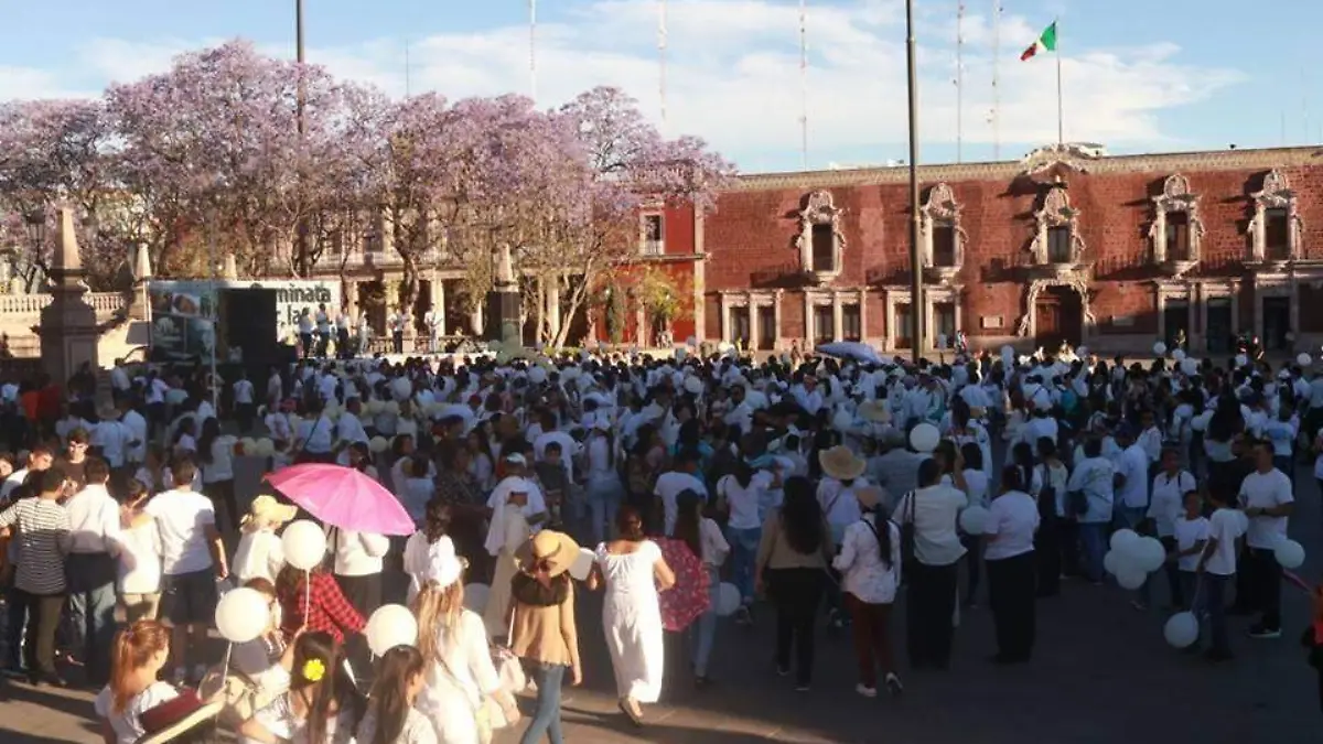 WhatsApp Image 2019-06-15 at 15.55.33