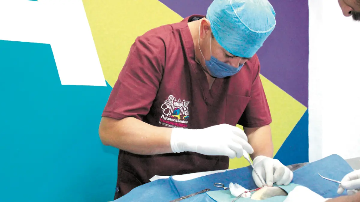 MPIO ESTERILIZACION_2