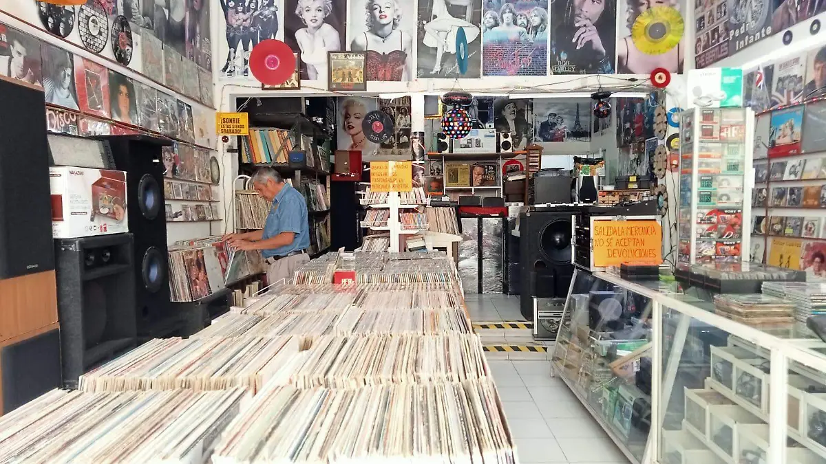 WhatsApp Image 2022-11-09 at 15.04.44