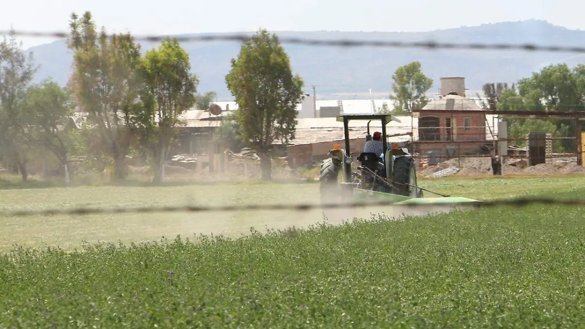 WhatsApp Image 2018-03-30 at 4.44.01 PM