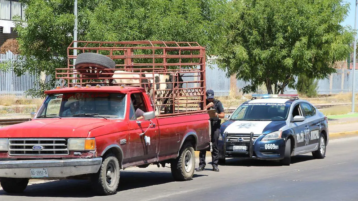 f66d547d-7deb-4eeb-a0cb-dca99ee4b2d9