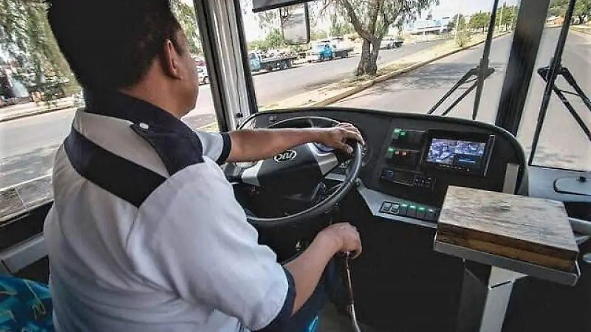 WhatsApp Image 2019-05-20 at 16.20.41