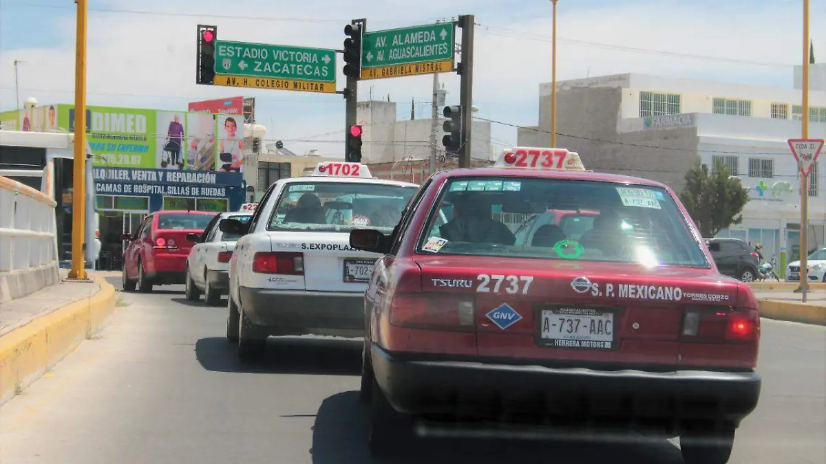 WhatsApp Image 2019-05-25 at 15.56.06