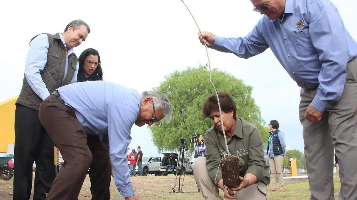 WhatsApp Image 2019-07-05 at 14.08.06