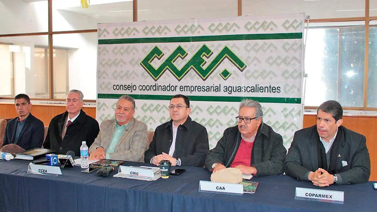 IP apoyo alianza federalista