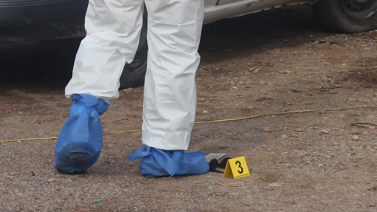 WhatsApp Image 2023-04-05 at 14.26.02