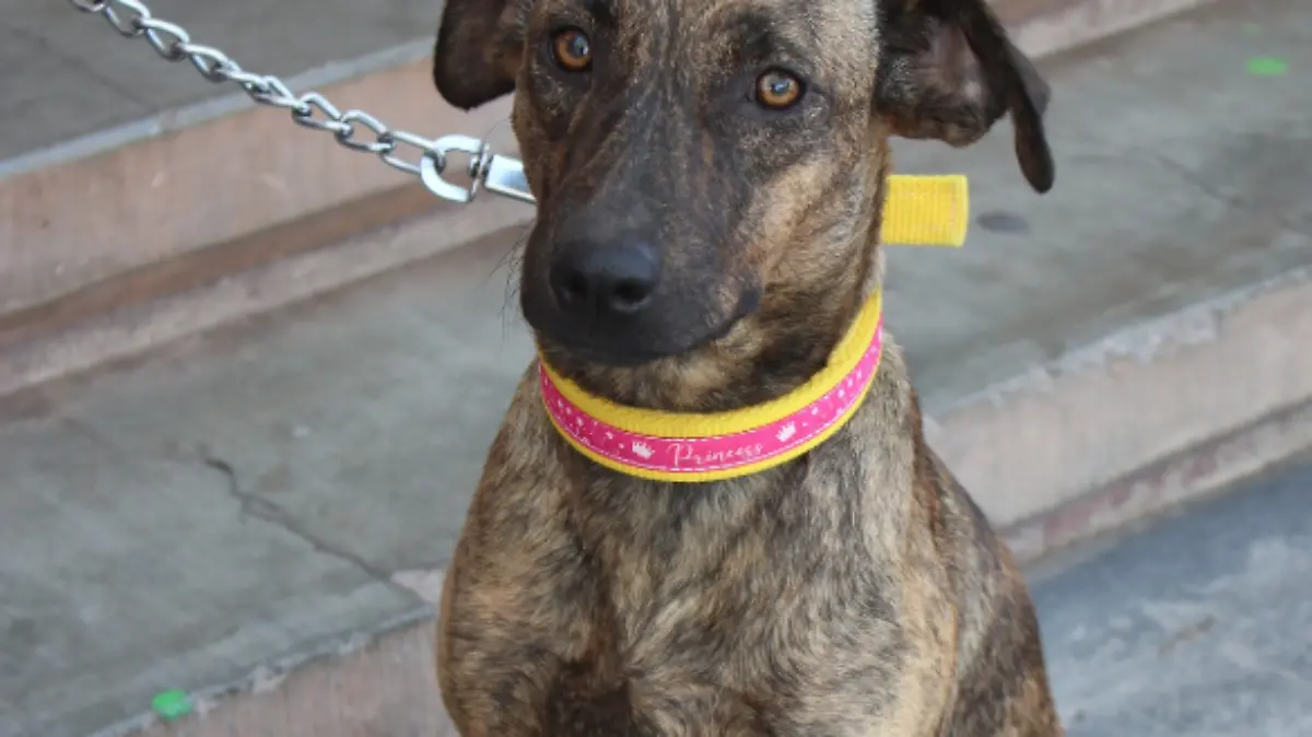 Captura de pantalla 2023-07-27 a la(s) 17.41.36