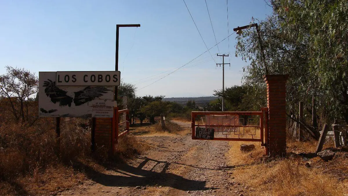 WhatsApp Image 2019-04-19 at 12.44.34