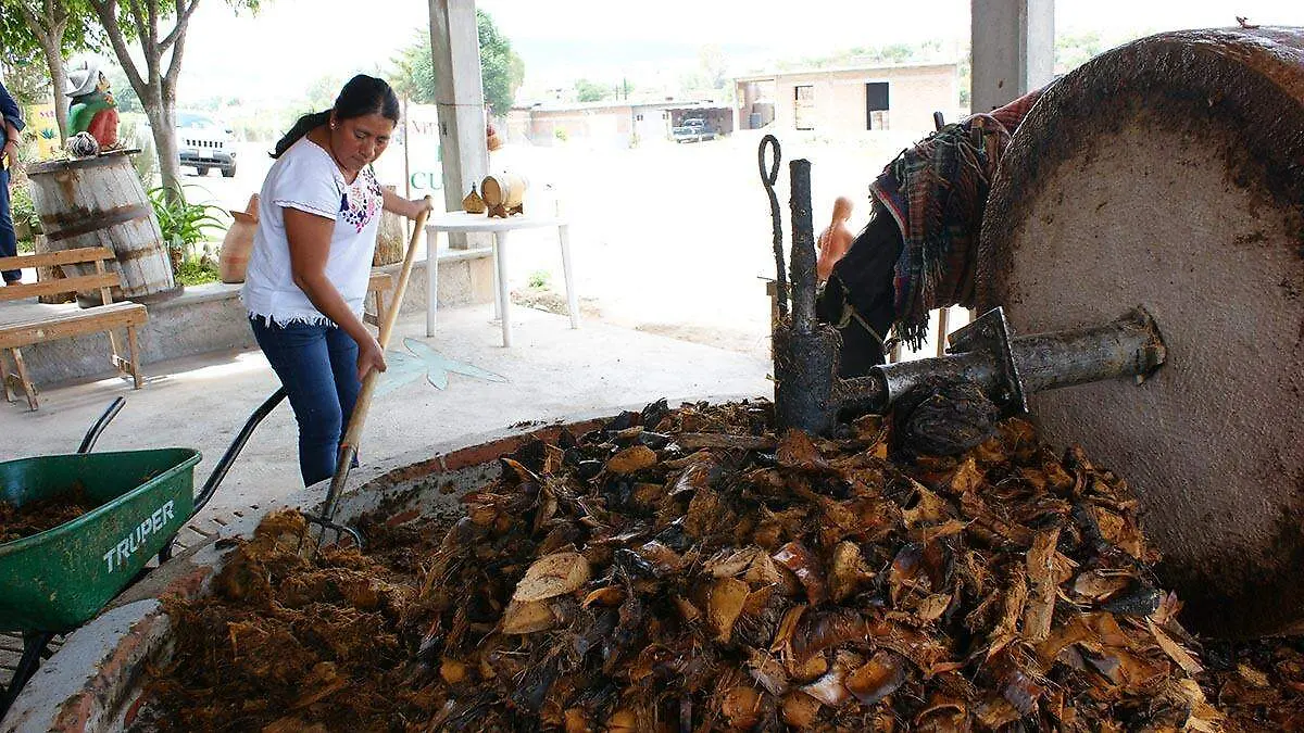 Producción de mezcal