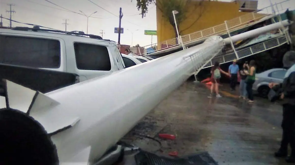 WhatsApp Image 2019-07-14 at 15.48.42