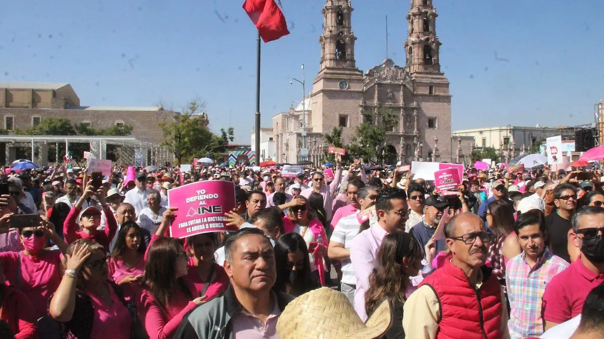 WhatsApp Image 2023-02-13 at 15.09.48