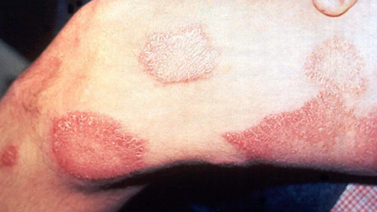 WhatsApp Image 2019-01-25 at 00.12.28