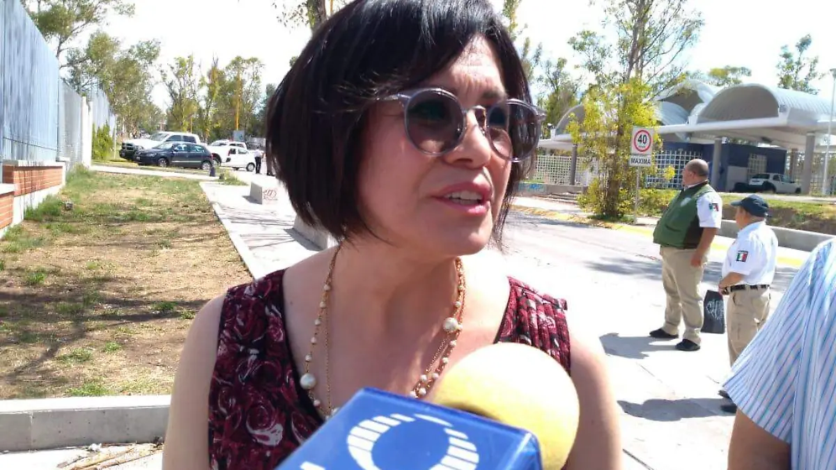 ELVIA Carlos Hernández