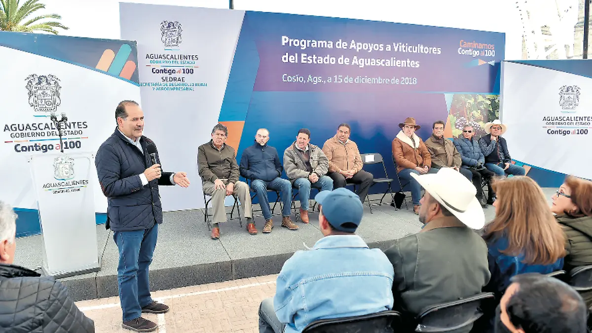 GOBIERNO DEL ESTADO 1050 VITICULTURA 1