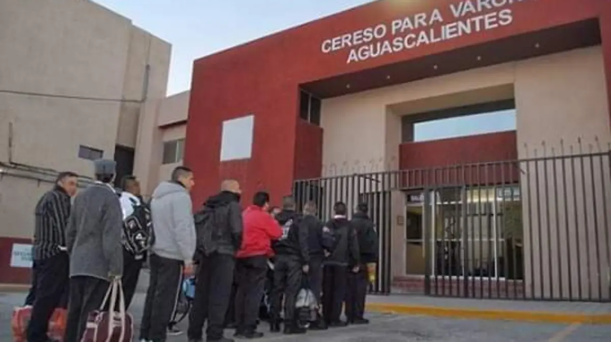 WhatsApp Image 2018-11-09 at 15.07.02