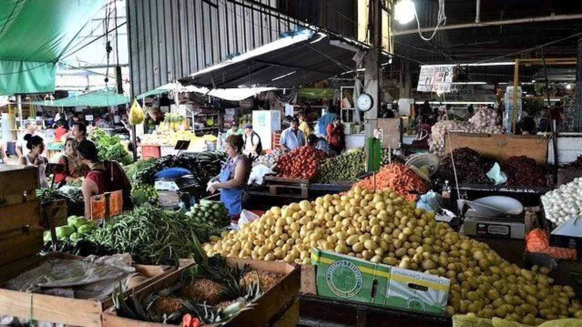 Alimentos