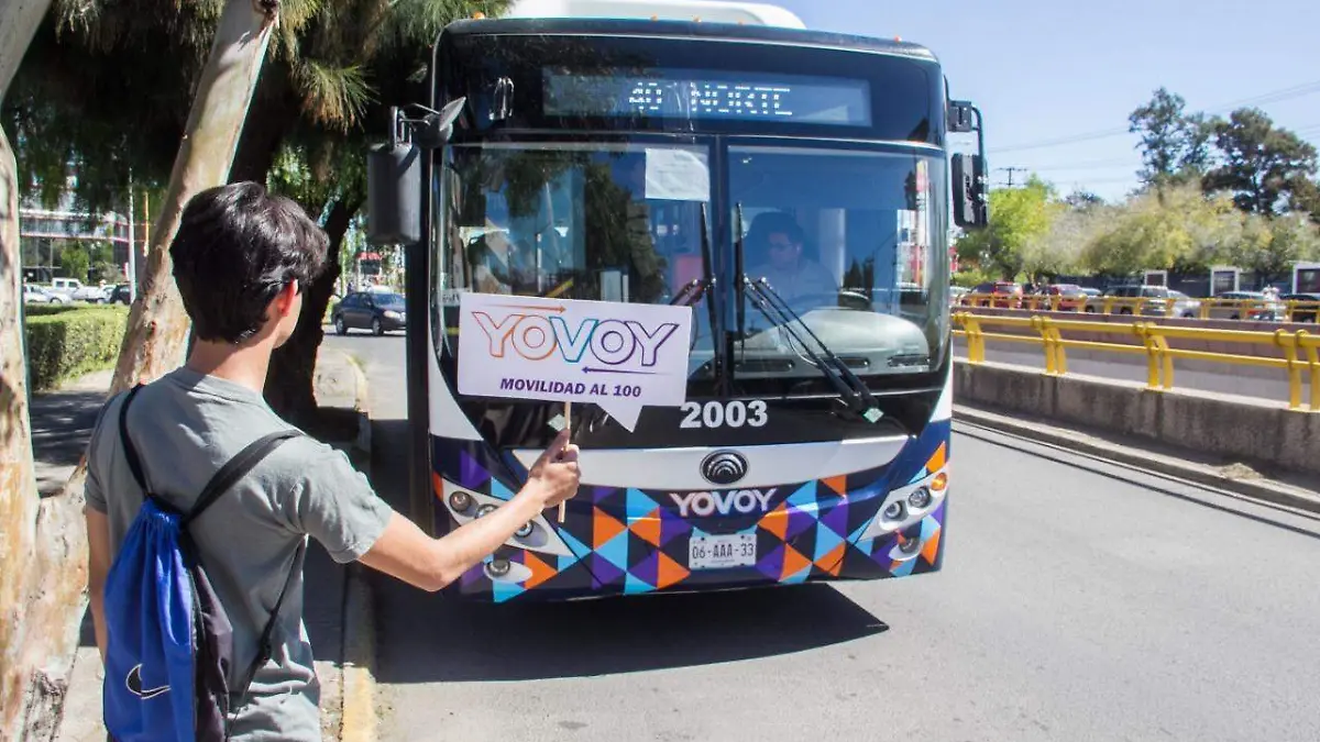 GOB 1609 TRANSPORTE PUBLICO-8