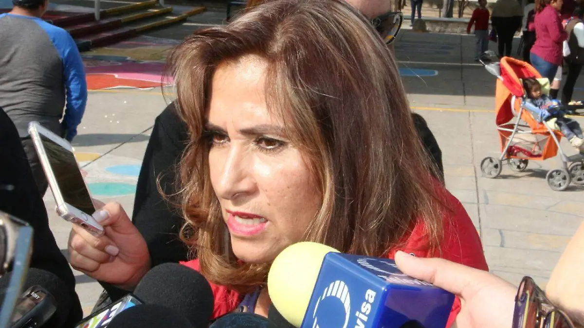 María de Lourdes Carmona Aguiñaga