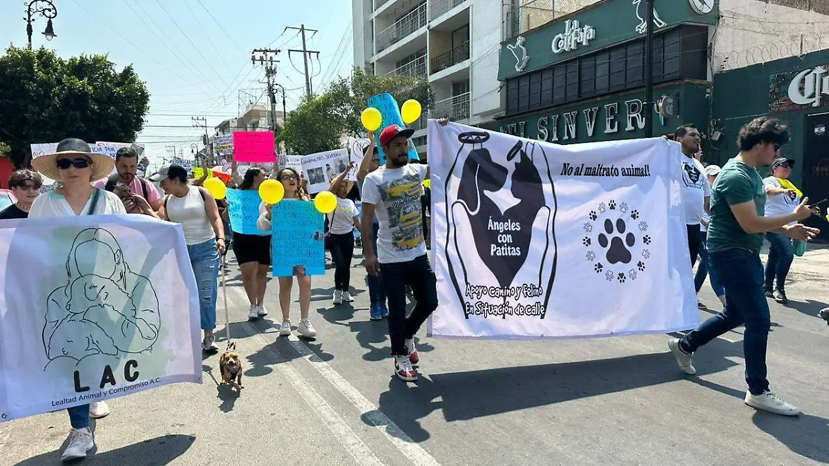 Marcha-Maltrato animal