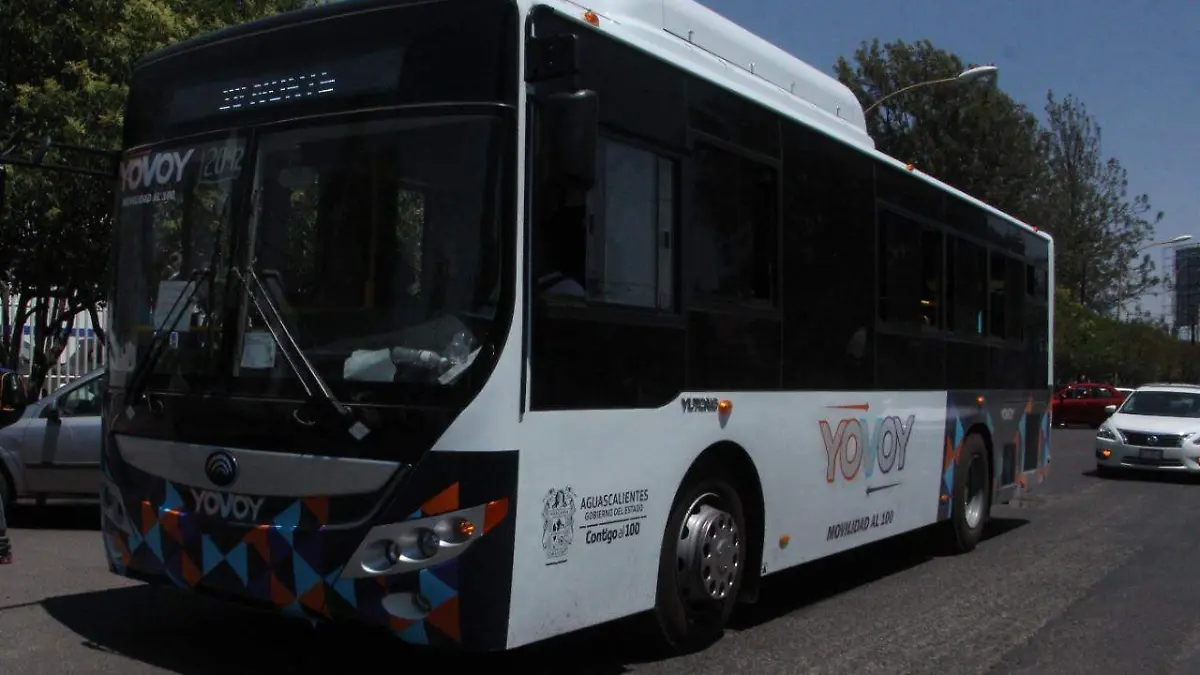 WhatsApp Image 2019-05-21 at 16.30.43