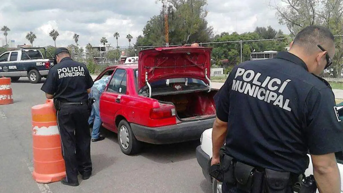 WhatsApp Image 2019-04-22 at 16.15.26