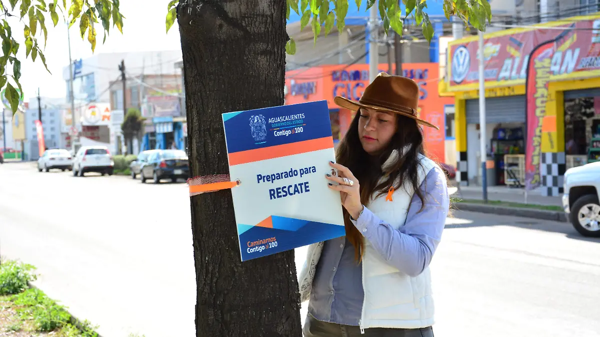 GOBIERNO DEL ESTADO 987 ÁRBOLES 1