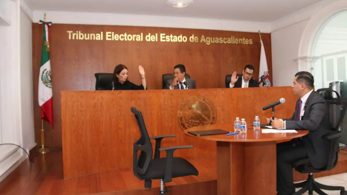 Tribunal Electoral Aguascalientes