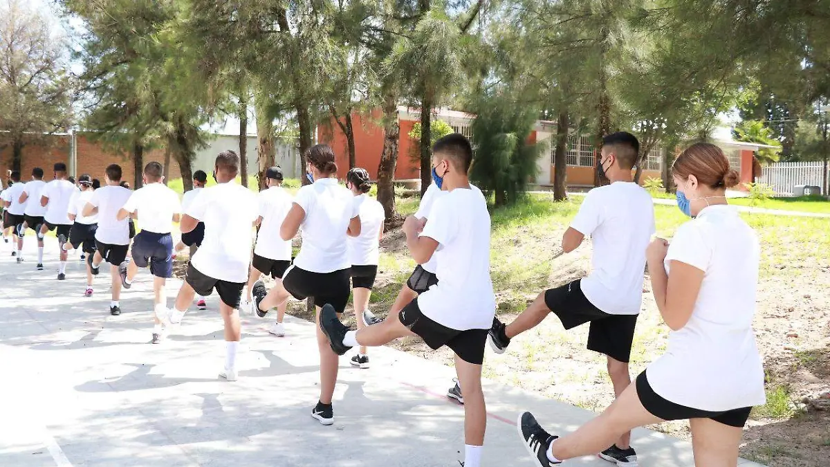 WhatsApp Image 2020-09-17 at 16.11.49