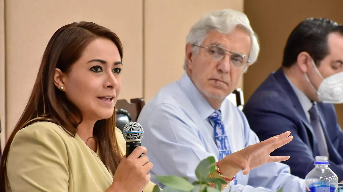 Consejo Permanente para la Seguridad Ciudadana 2