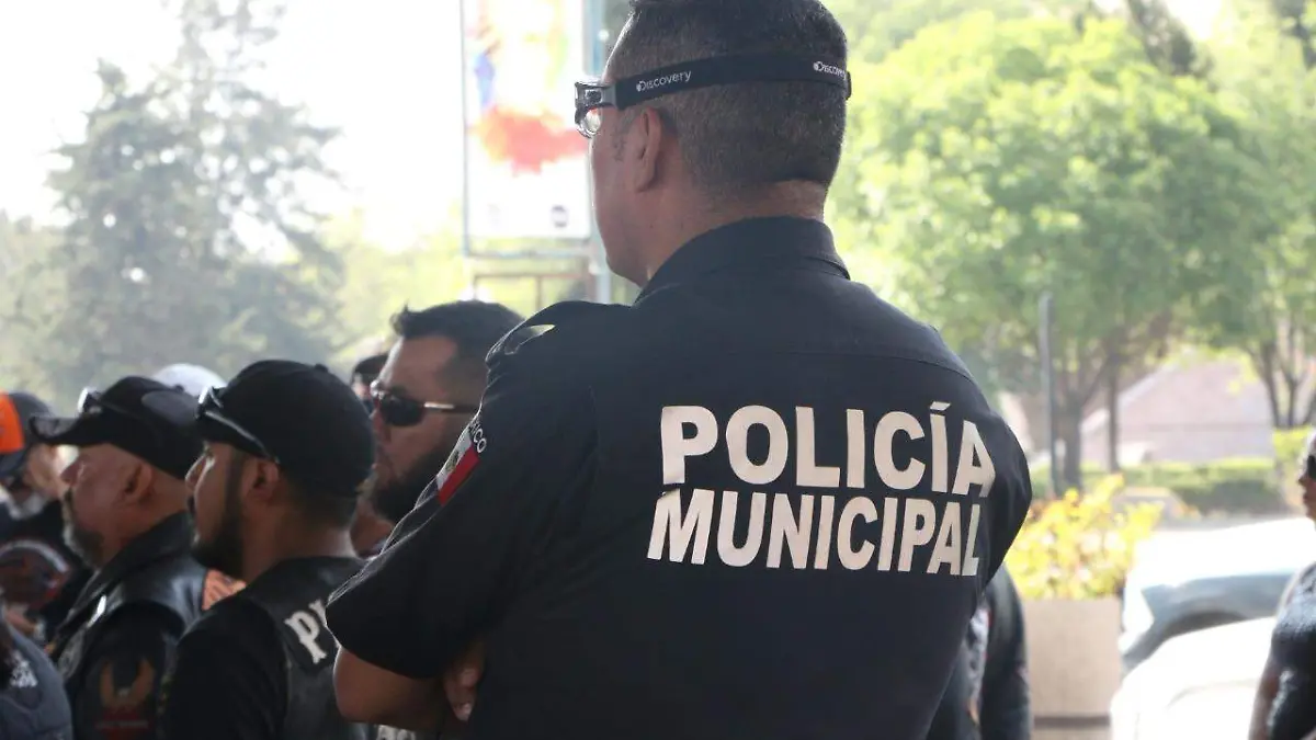 WhatsApp Image 2019-07-04 at 15.34.32