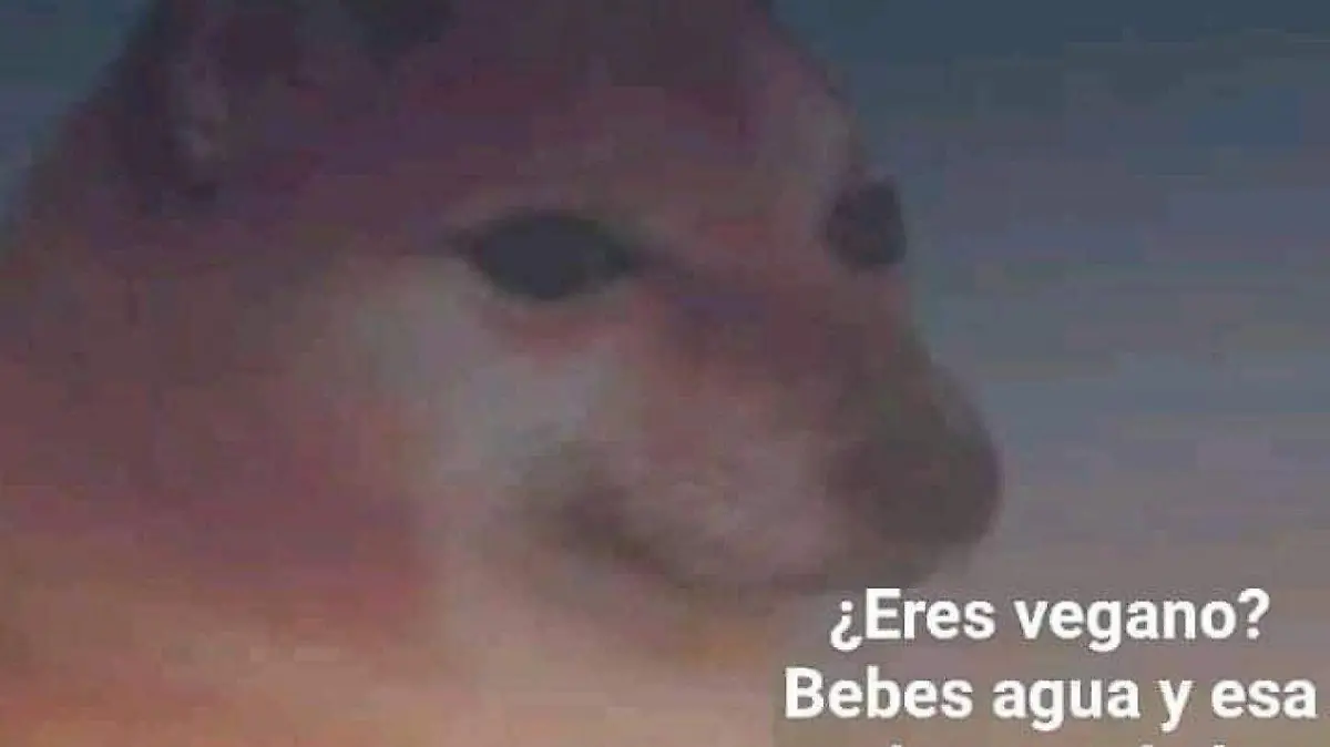 en fin la hipocresia 6