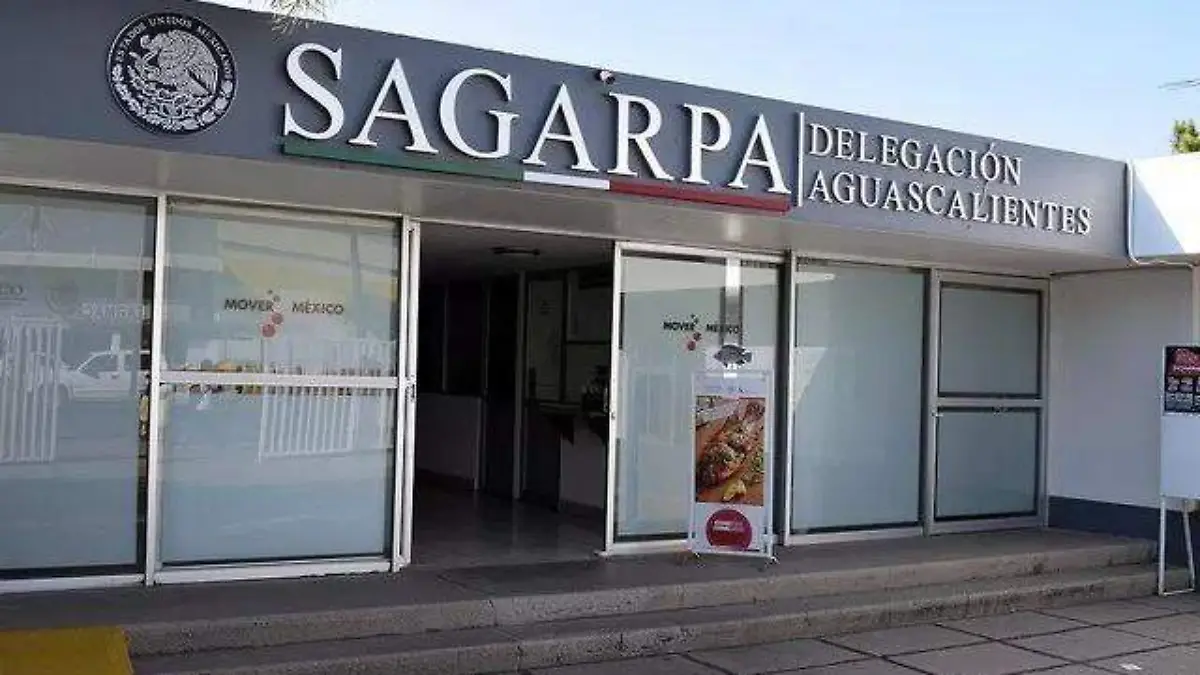 WhatsApp Image 2019-06-15 at 14.00.32