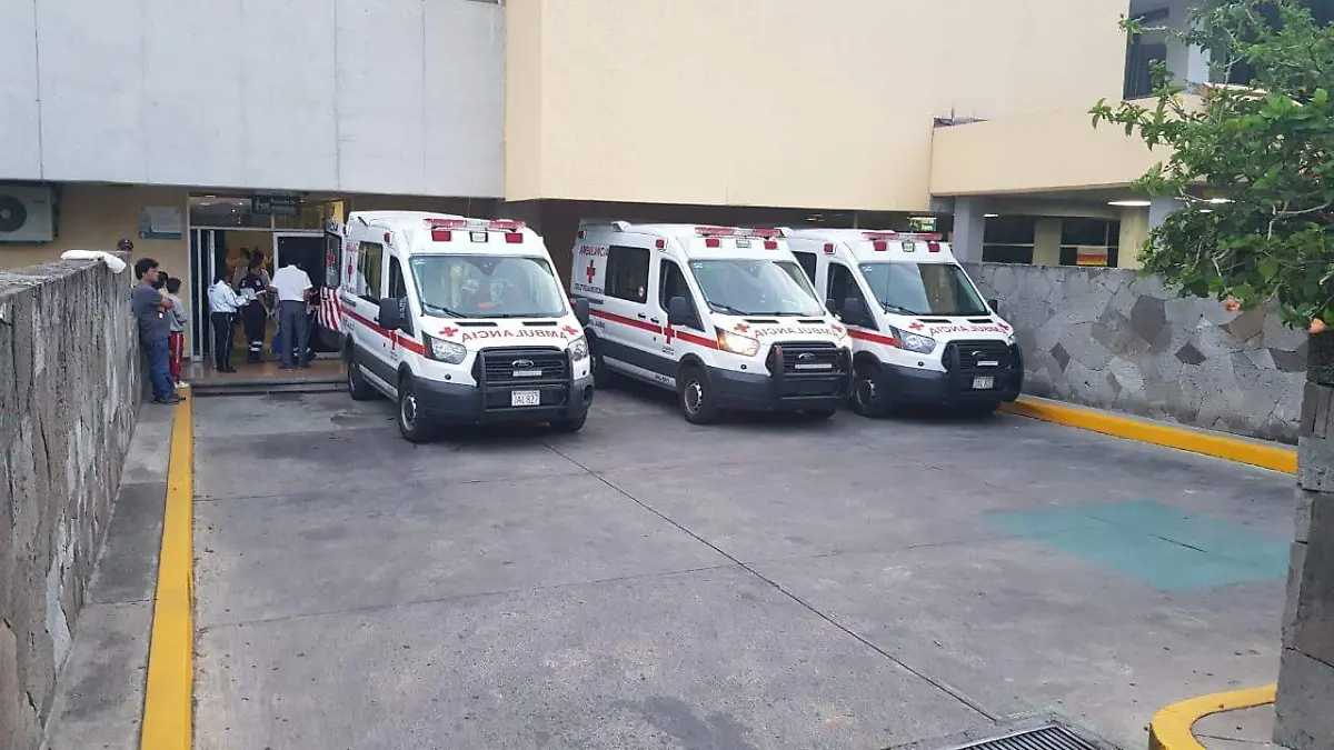 WhatsApp Image 2019-07-20 at 16.12.09