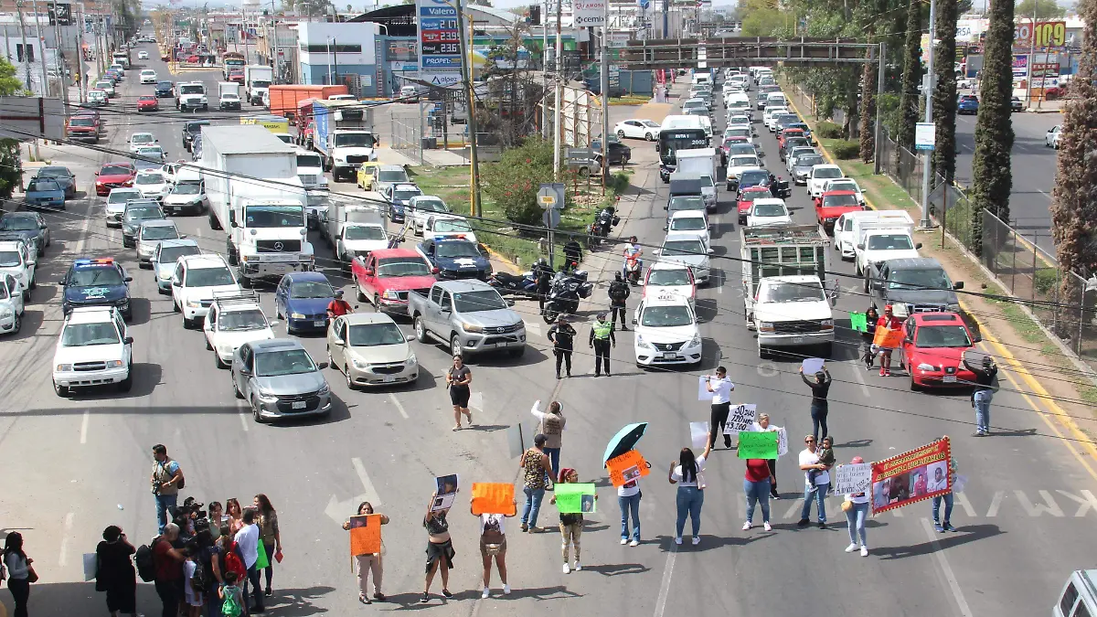 WhatsApp Image 2023-07-20 at 10.49.36 AM