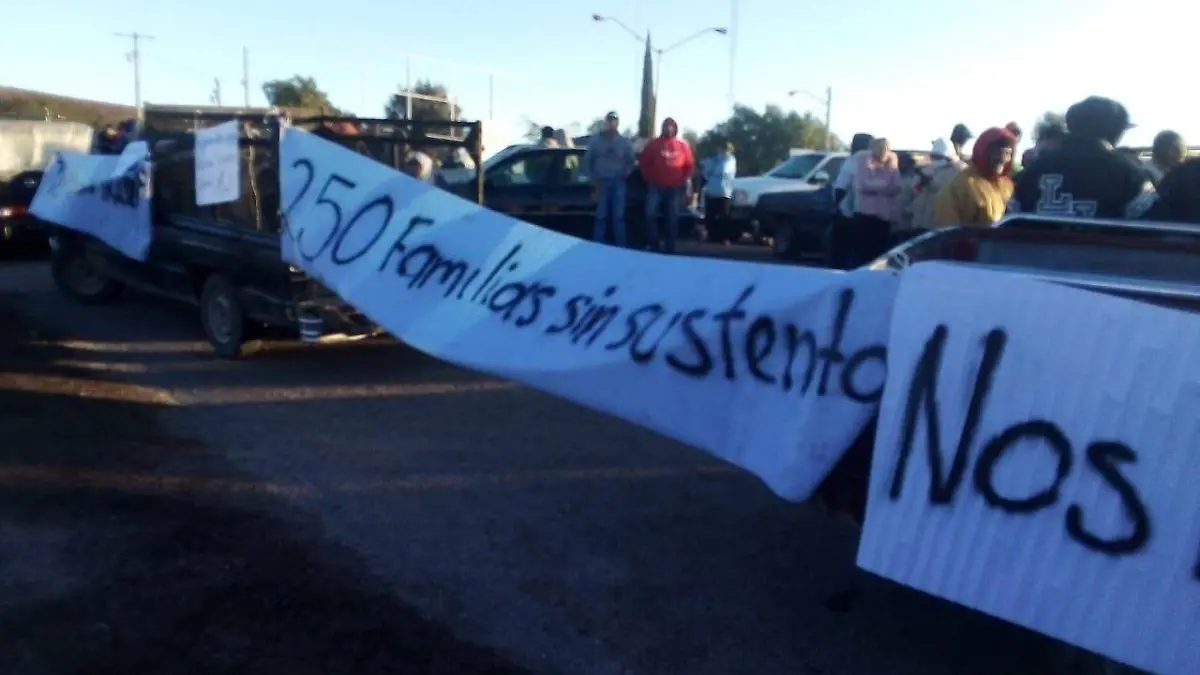 WhatsApp Image 2020-01-03 at 12.37.49 (2)