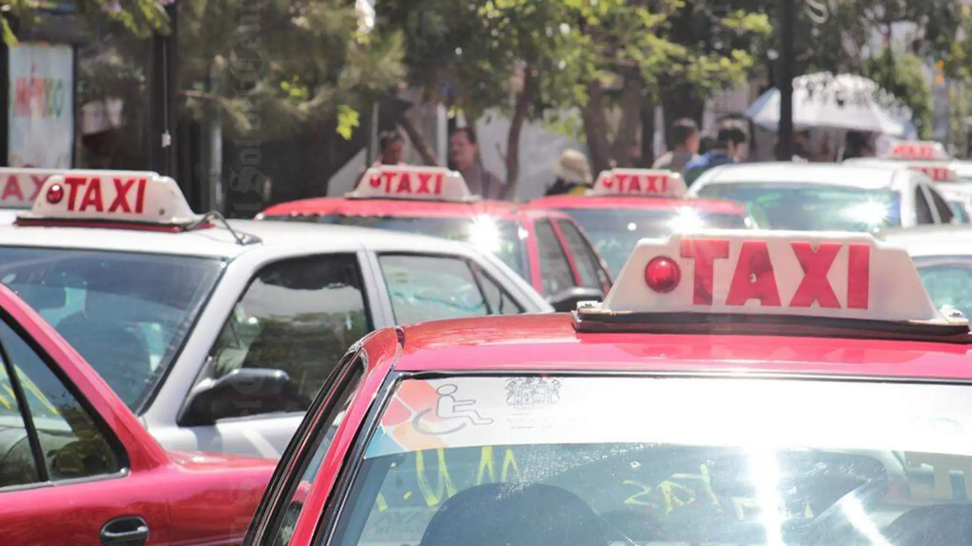 taxis