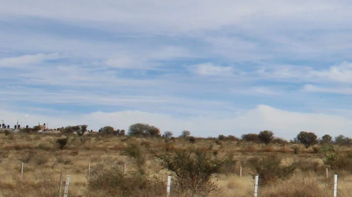 WhatsApp Image 2023-03-20 at 15.18.17