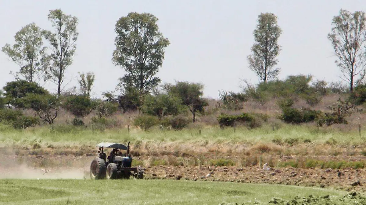 campo tractor