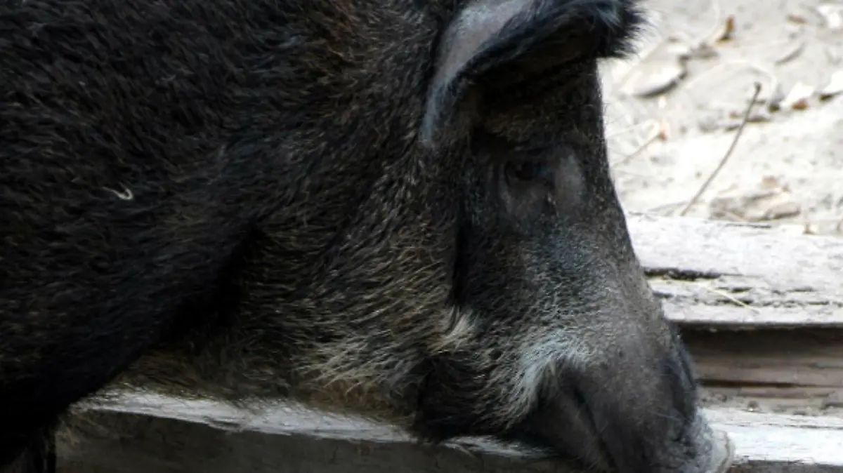 Captura de Pantalla 2023-01-19 a la(s) 15.55.09