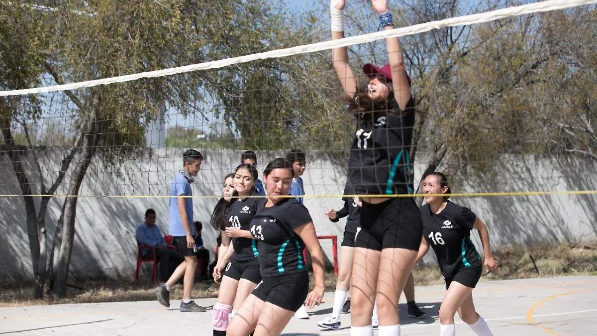 Voleibol