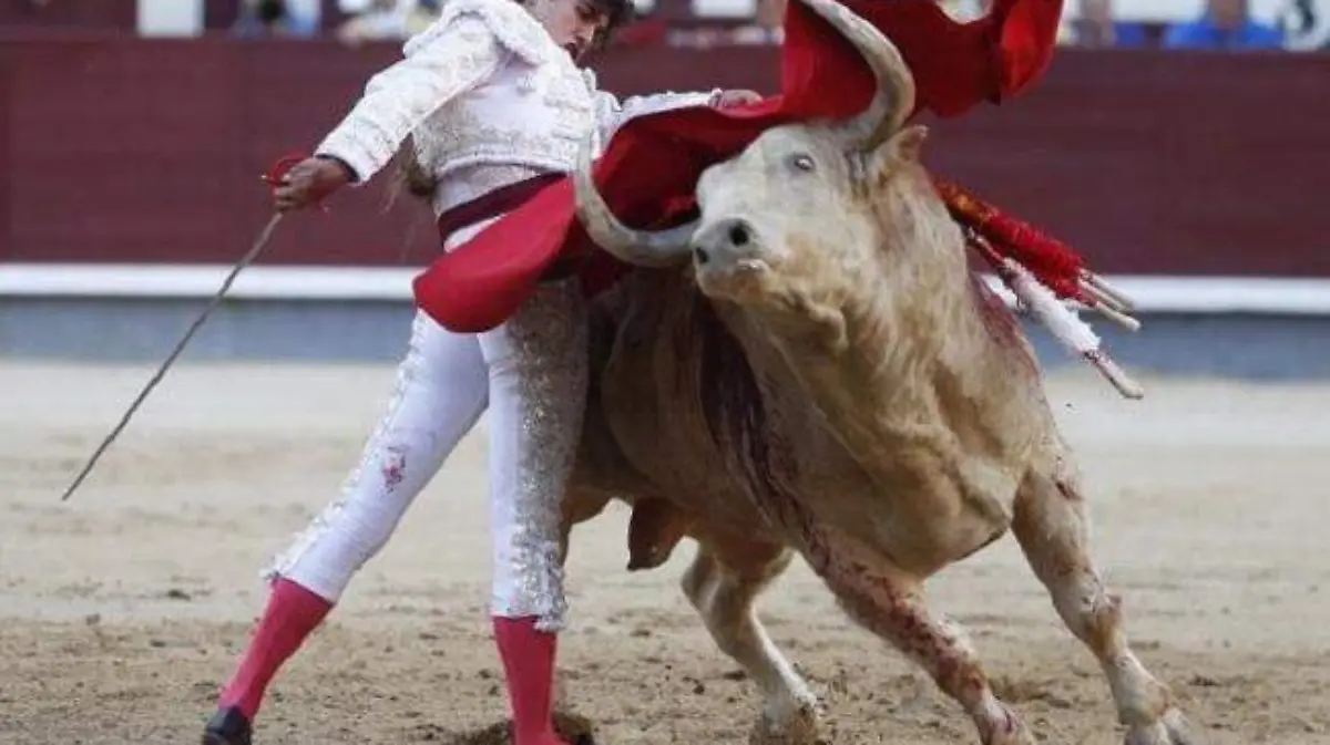 WhatsApp Image 2019-11-27 at 13.13.11