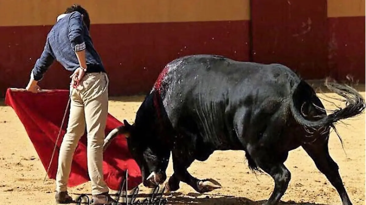 Captura de Pantalla 2019-06-05 a la(s) 15.36.06