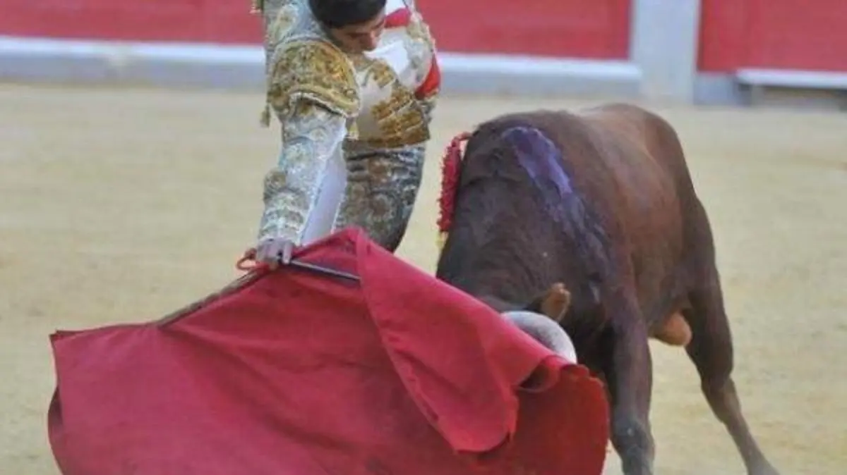 WhatsApp Image 2019-06-18 at 15.16.43