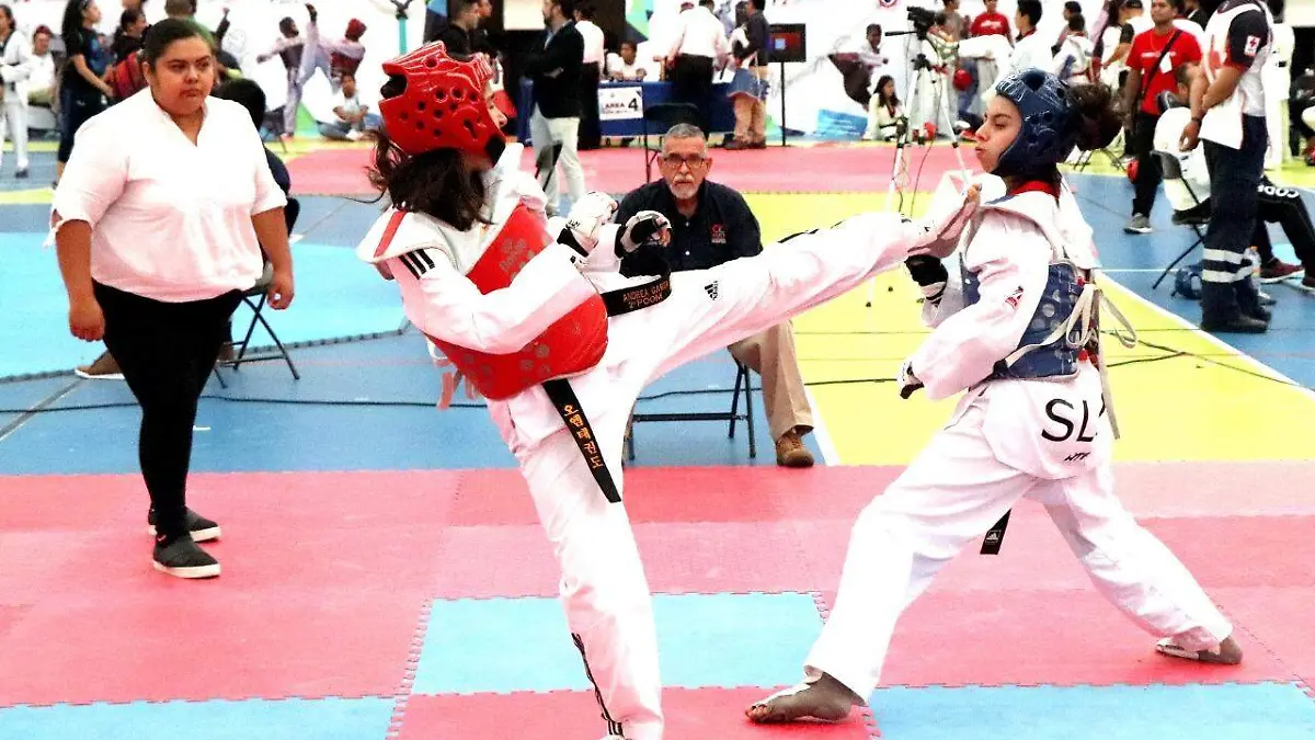 WhatsApp Image 2019-08-29 at 15.32.18