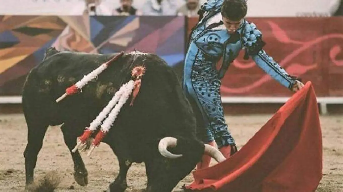 WhatsApp Image 2019-07-01 at 16.14.46