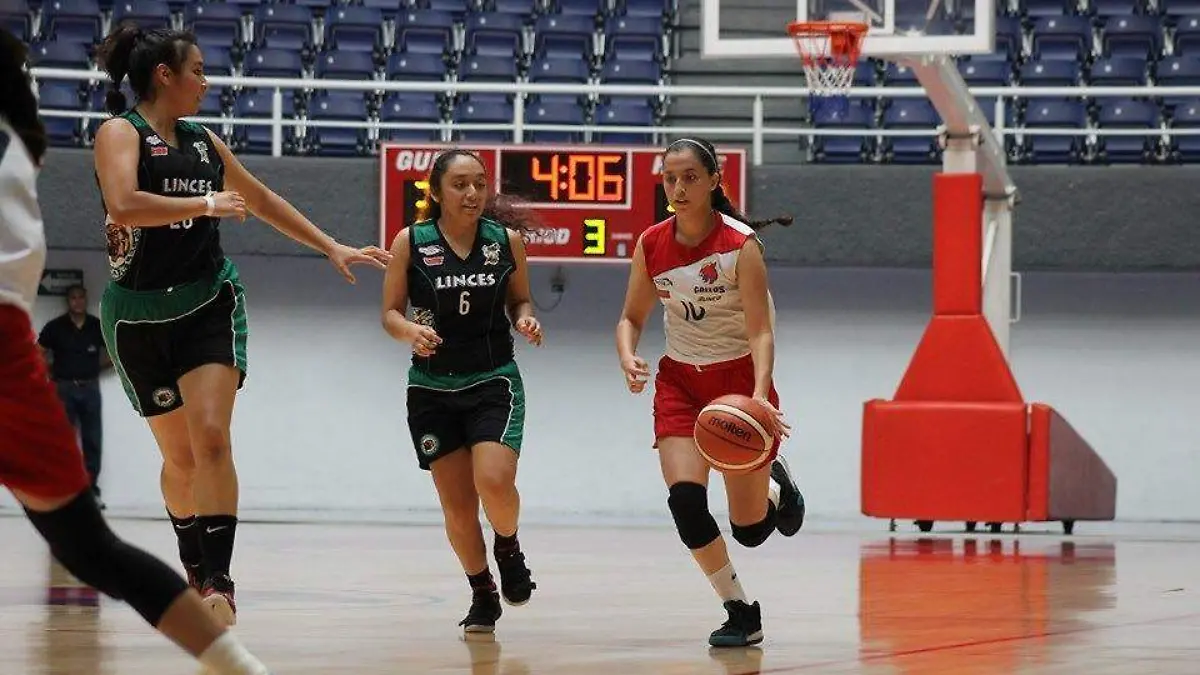 WhatsApp Image 2019-10-09 at 16.40.41