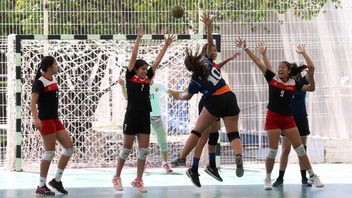 WhatsApp Image 2019-03-16 at 17.56.12