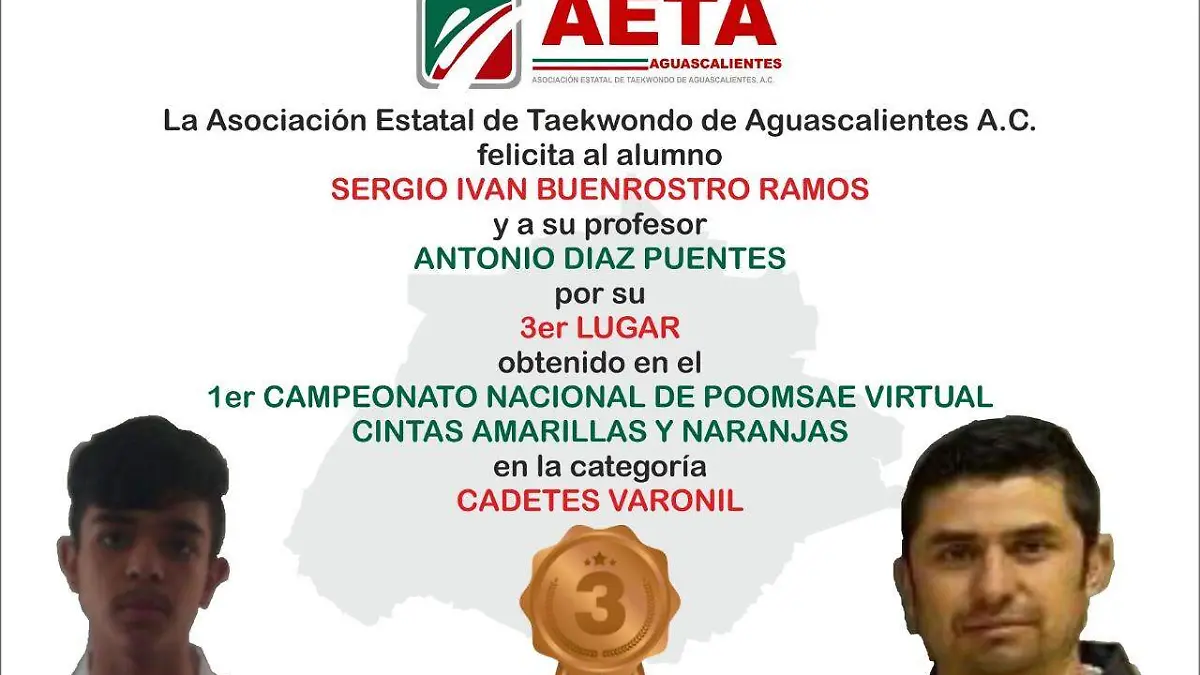Premio torneo virtual taekwondo 1